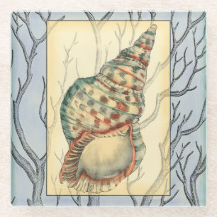 Seashell and Tree Branches Glass Coaster