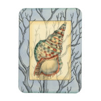 Seashell and Tree Branches