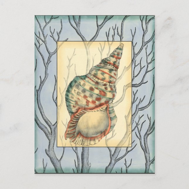 Seashell and Tree Branches Postcard (Front)