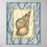 Seashell and Tree Branches