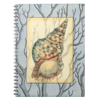 Seashell and Tree Branches