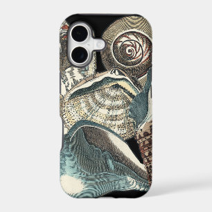 Seashell Anthology