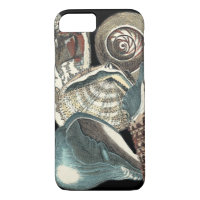Seashell Anthology