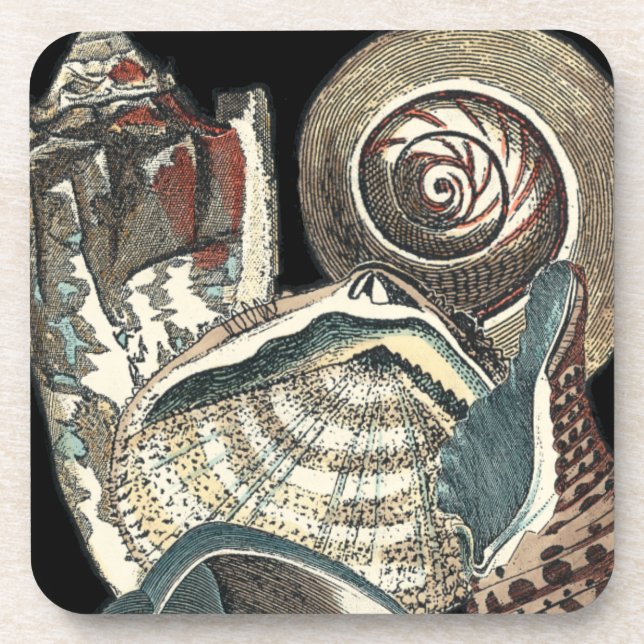 Seashell Anthology Coaster (Front)