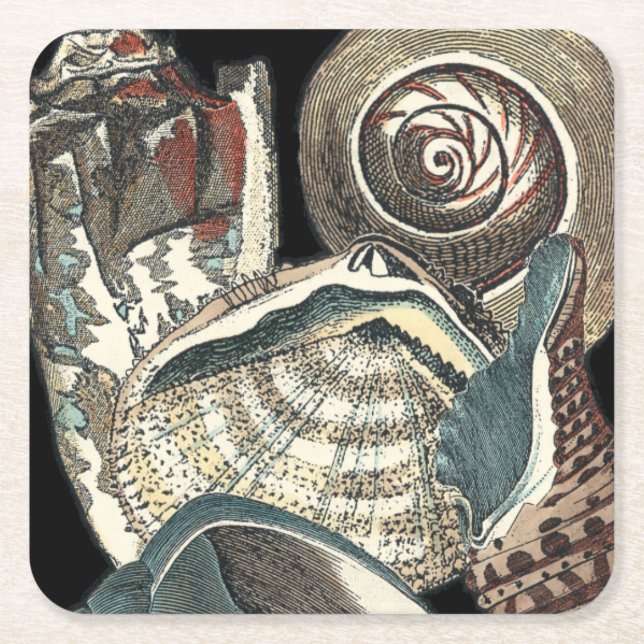 Seashell Anthology Square Paper Coaster (Front)