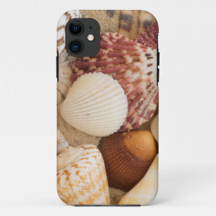 Seashell Arrangement Case-Mate iPhone Case
