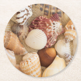 Seashell Arrangement Round Paper Coaster