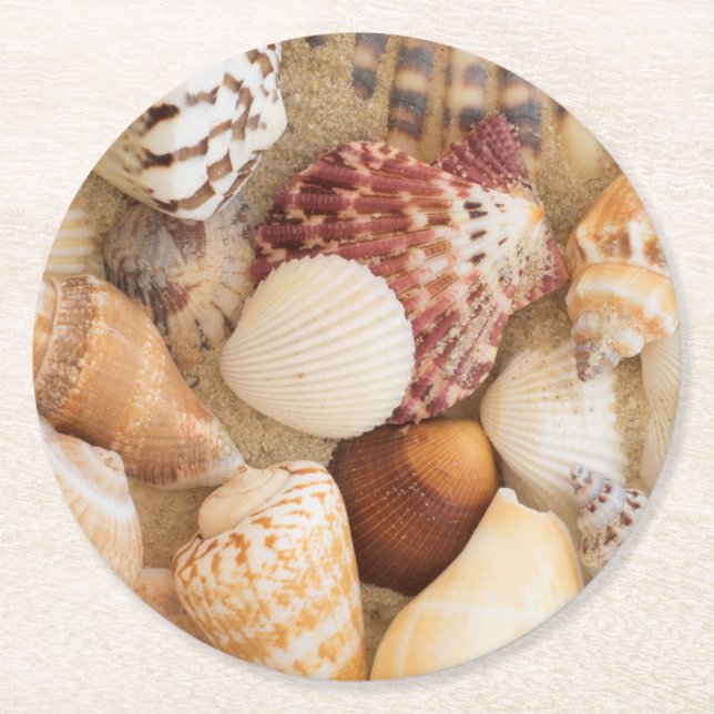 Seashell Arrangement Round Paper Coaster (Front)