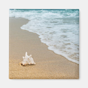 Seashell at the Beach Magnet