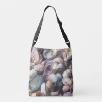 Seashell Beach