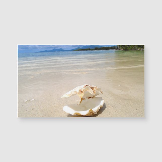 Seashell Beach Magnet Business Card (Front)