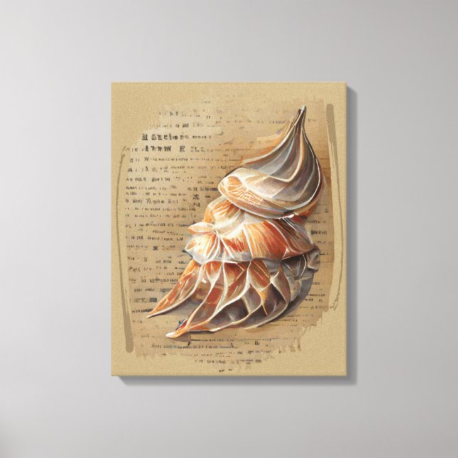 Seashell Canvas Print (Front)