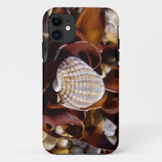 Seashell Case-Mate iPhone Case