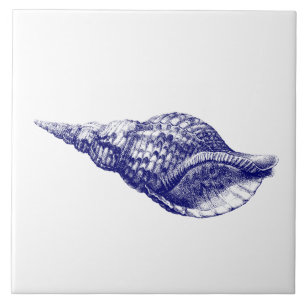 Seashell Charonia Tritonis Blue & White Tile