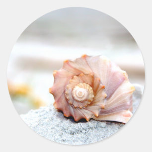 Seashell Classic Round Sticker