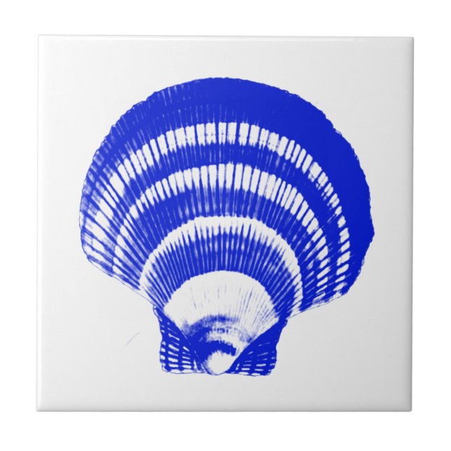 Seashell - cobalt blue and white tile (Front)