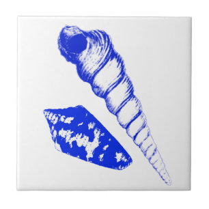 Seashell - cobalt blue and white tile