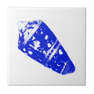 Seashell - cobalt blue and white tile
