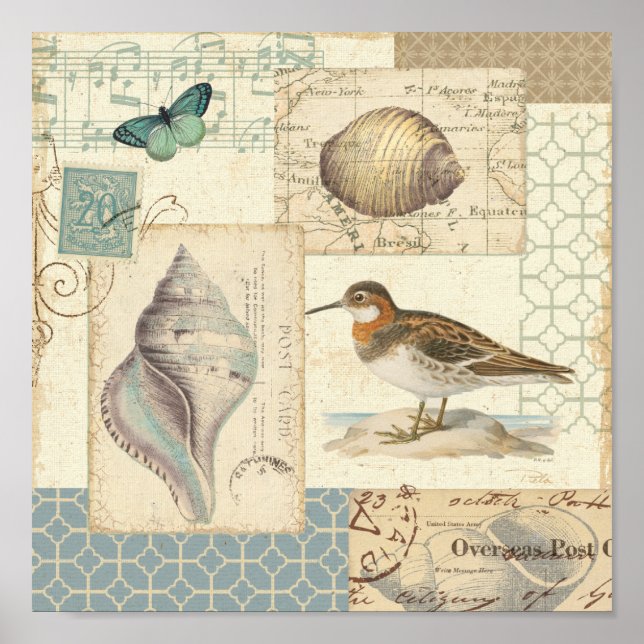 Seashell Collage Poster (Front)
