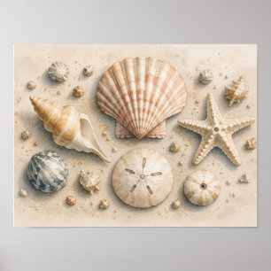 Seashell Collection Poster Watercolor Coastal
