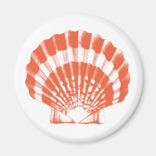Seashell - coral orange and white magnet