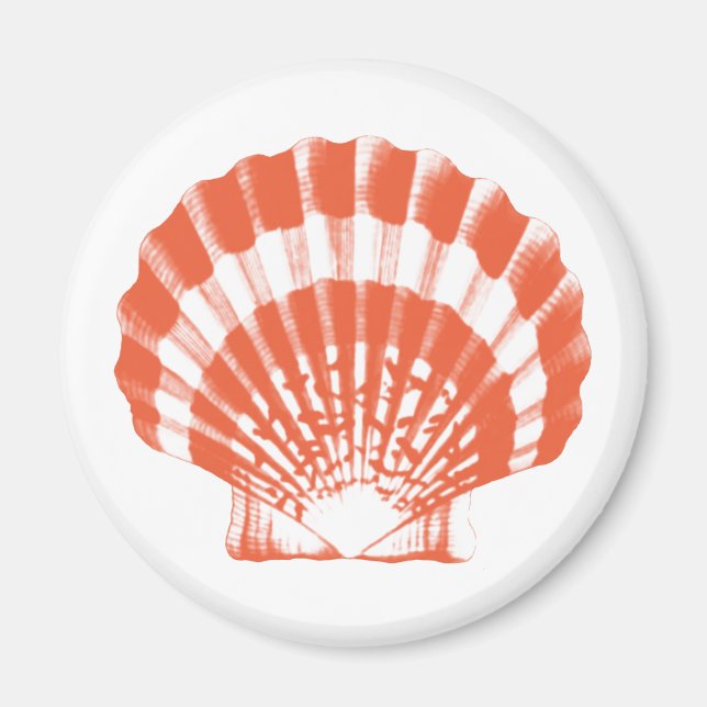 Seashell - coral orange and white magnet (Front)