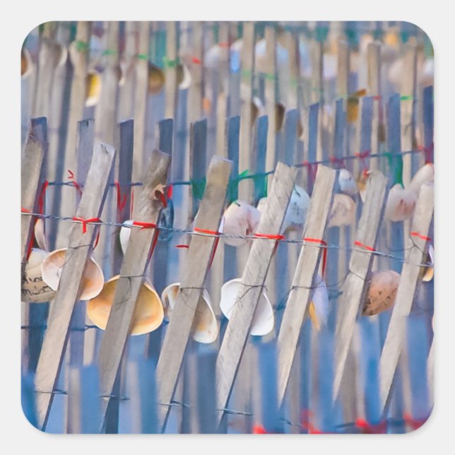 Seashell decorated Dune Fence Square Sticker (Front)