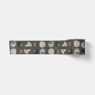 SeaShell Extravaganza Satin Ribbon
