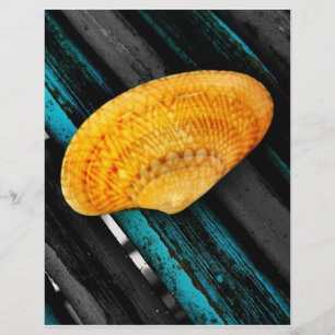 seashell flyer