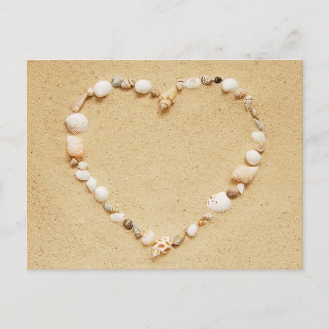 Seashell Heart Postcard (Front)