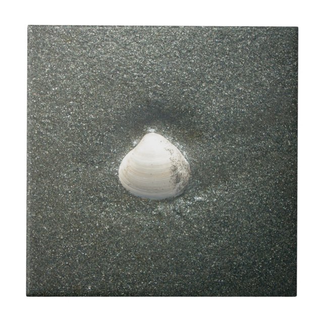 Seashell in the Sand: A Salty Souvenir Tile (Front)