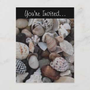Seashell Invitation