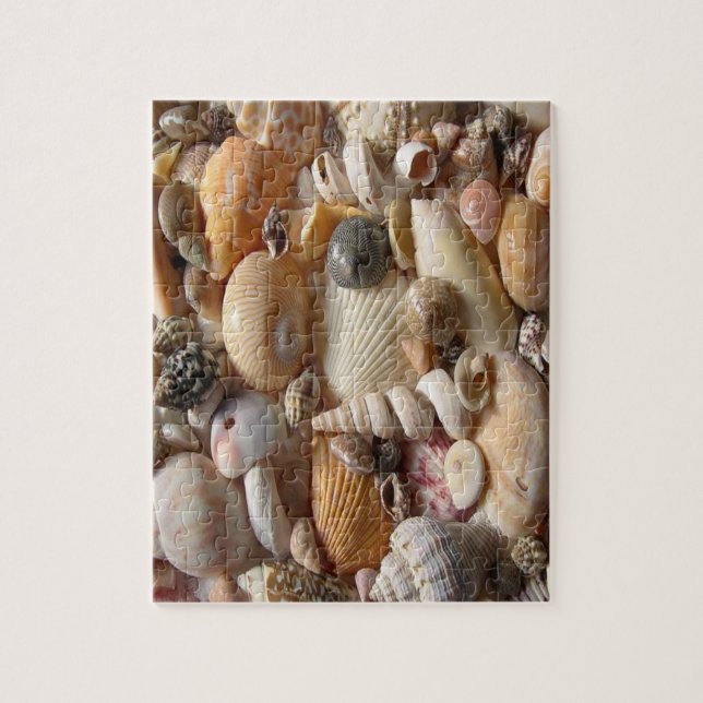 Seashell Jigsaw Puzzle (Vertical)