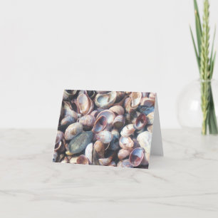 Seashell Notecard