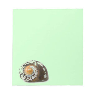 Seashell Notepad