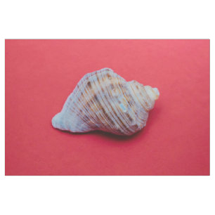 Seashell on a red background fabric