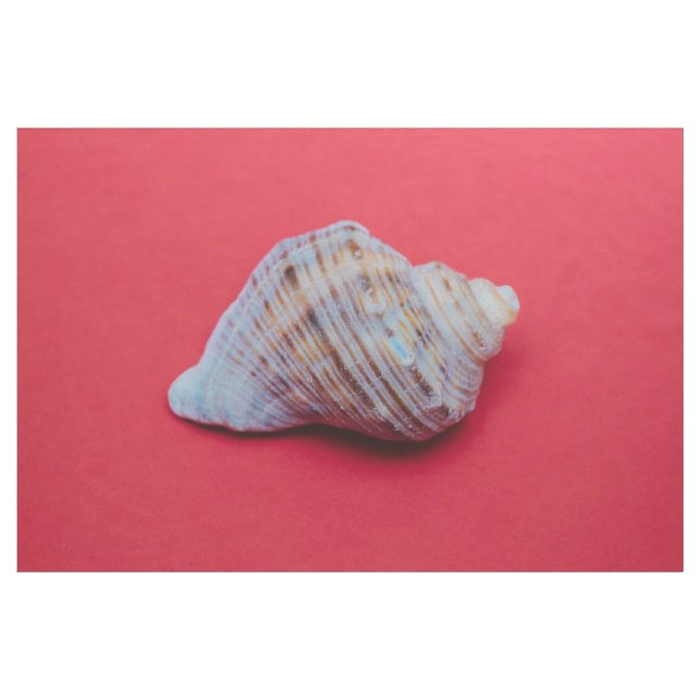 Seashell on a red background fabric (Yard)
