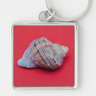 Seashell on a red background key ring