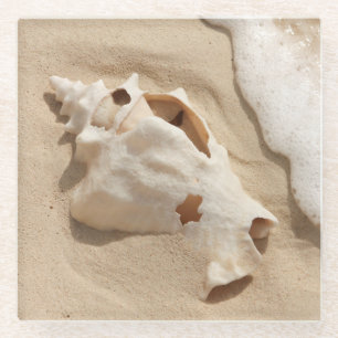 Seashell On Beach   Grand Turk Caribbean Island Glass Coaster