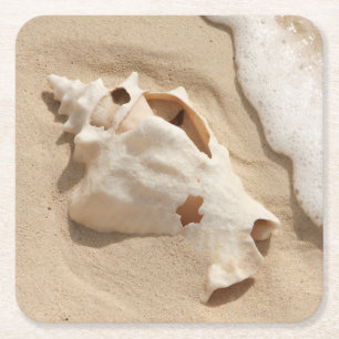 Seashell On Beach Grand Turk Caribbean Island Square Paper Coaster