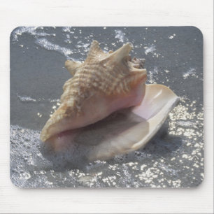 Seashell On Beach   Sanibel Island, Florida Mouse Pad
