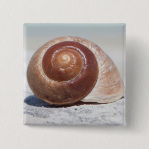 Seashell On Beach St. Petersburg, Fl 15 Cm Square Badge