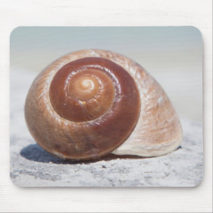 Seashell On Beach St. Petersburg, Fl Mouse Pad