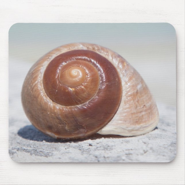 Seashell On Beach | St. Petersburg, Fl Mouse Pad (Front)
