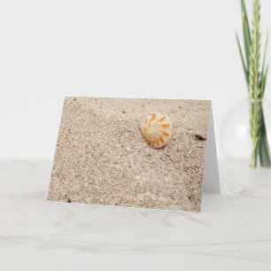 Seashell on the Beach Card