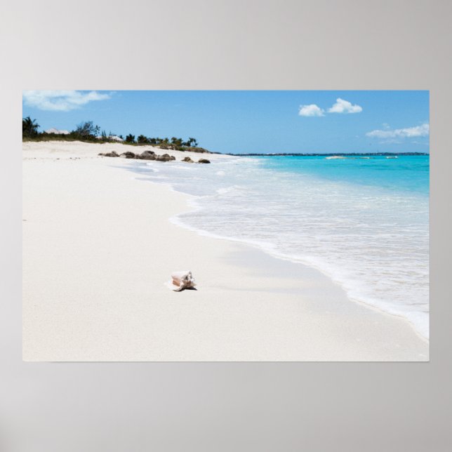 Seashell on the Beach Poster (Front)