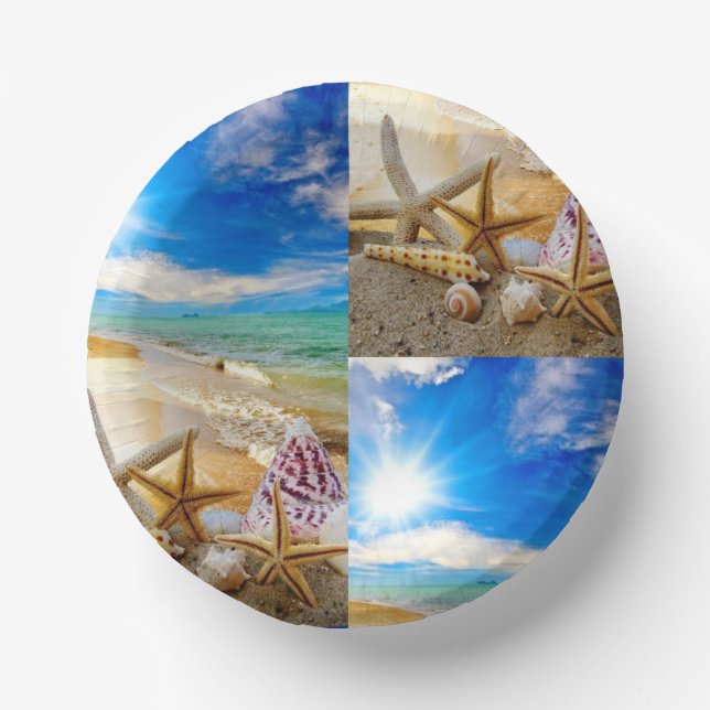 Seashell  paper plate (Front)
