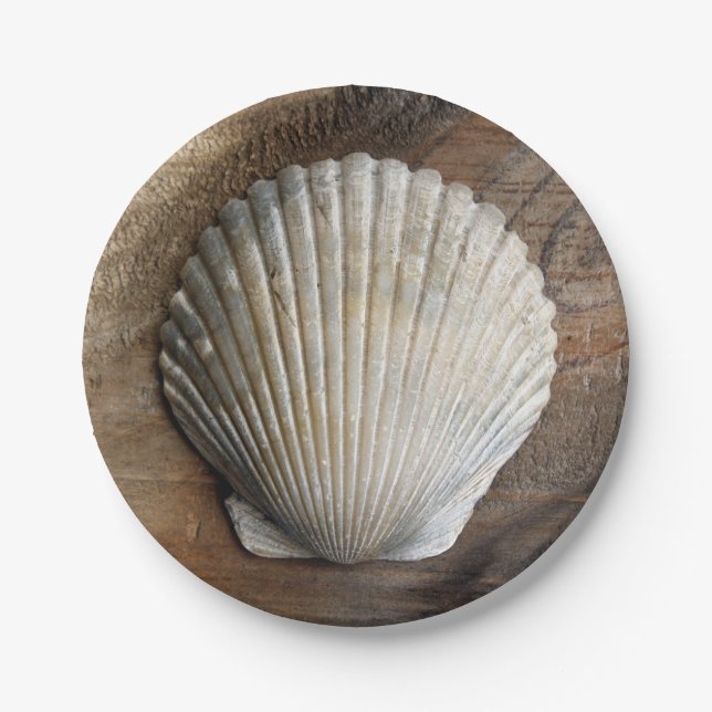 Seashell - Paper Plate (Front)