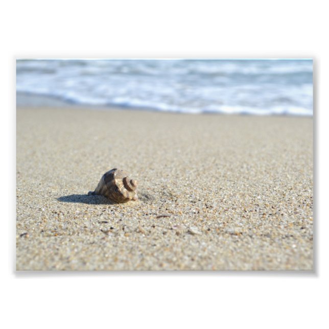 Seashell Photo Print (Front)