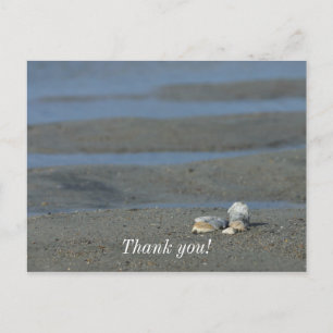 Seashell Pile Postcard